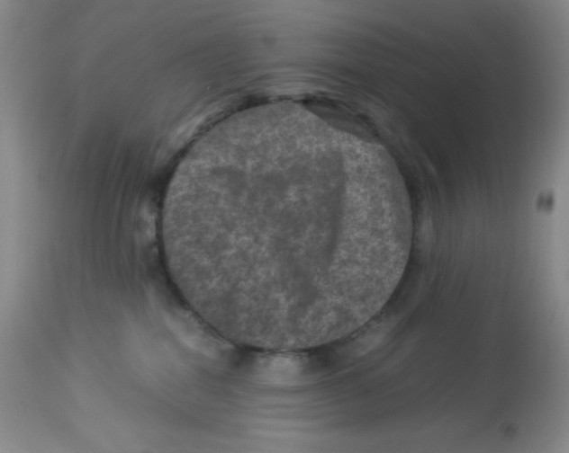 X0000113950282200910232013