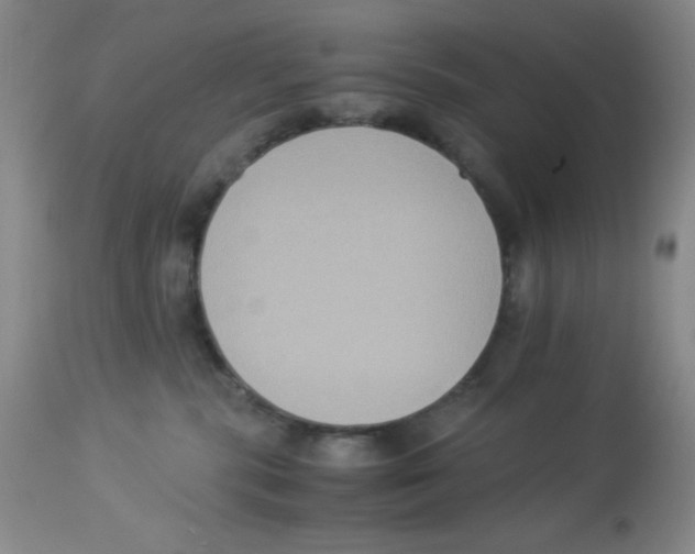 X0000113950283200910232013