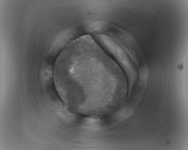 X0000113950284200910232013