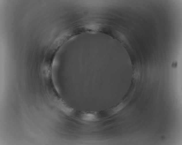 X0000113950285200910232013
