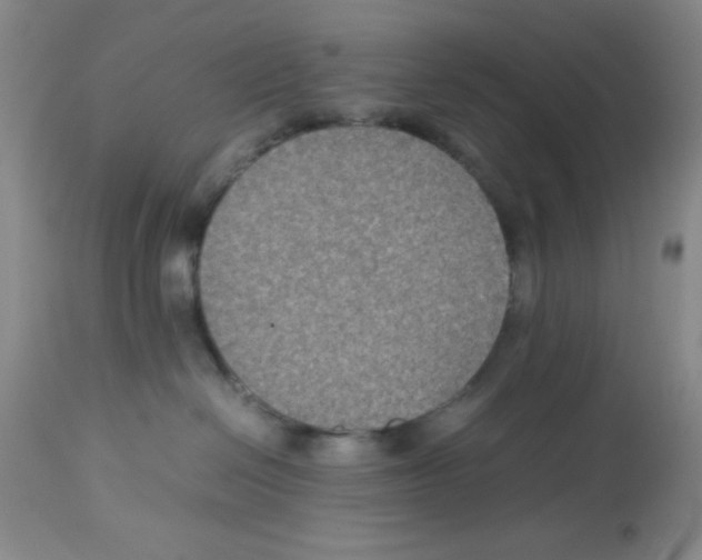 X0000113950286200910232013