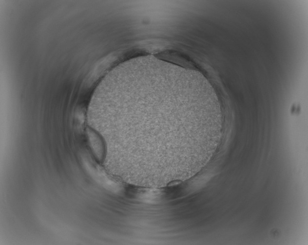 X0000113950288200910232013