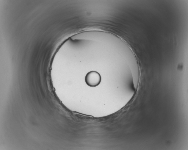 X0000113950289200910232012