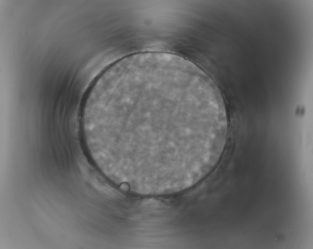X0000113950290200910232012