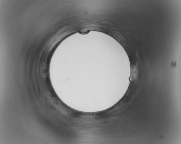 X0000113950291200910232012