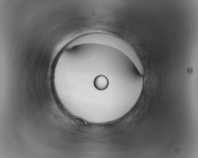 X0000113950292200910232012