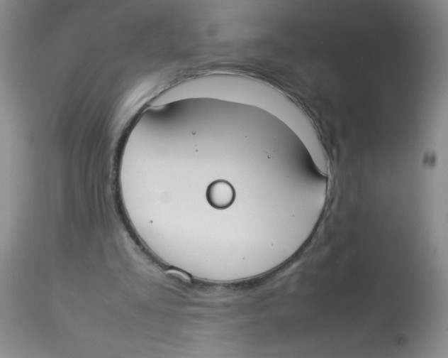 X0000113950293200910232012