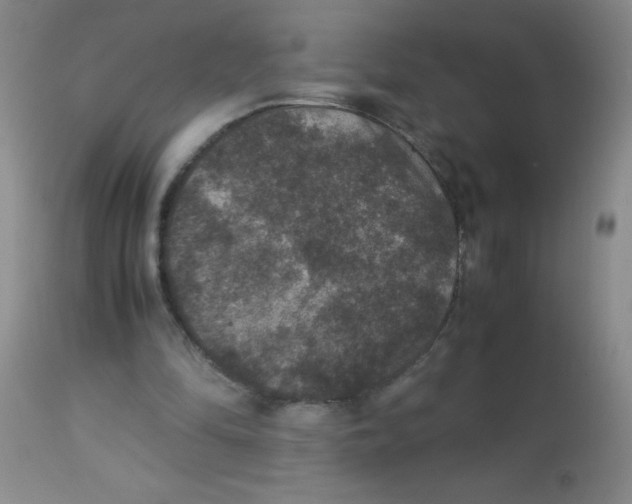 X0000113950294200910232012