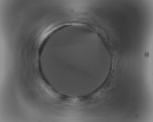X0000113950295200910232012