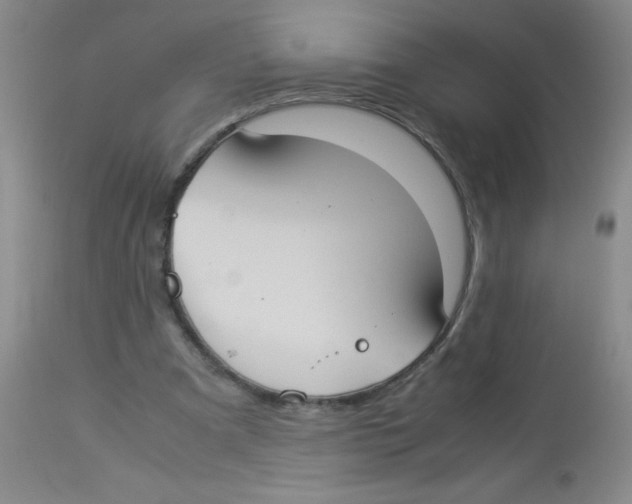X0000113950297200910232012