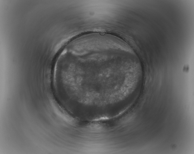 X0000113950299200910232012