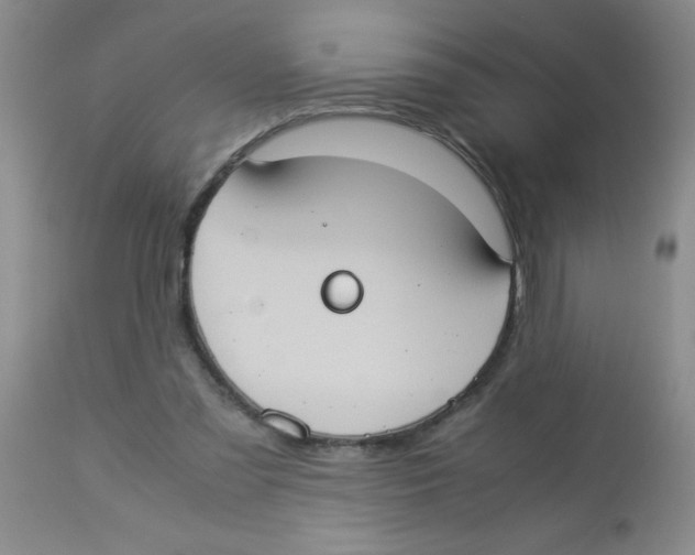 X0000113950301200910232012