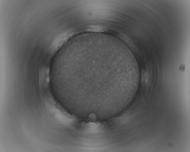 X0000113950302200910232012