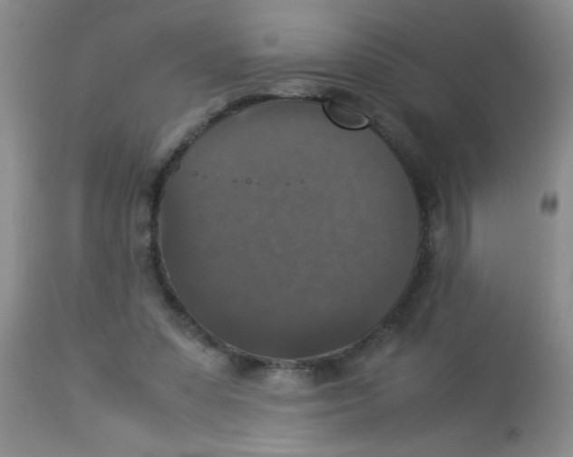 X0000113950303200910232012