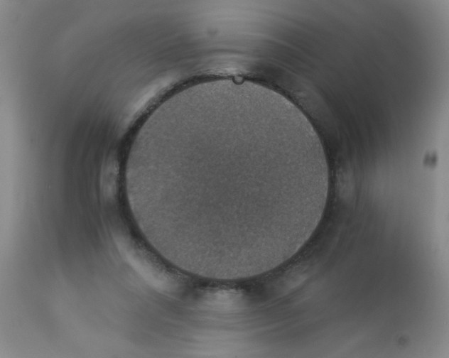 X0000113950304200910232012