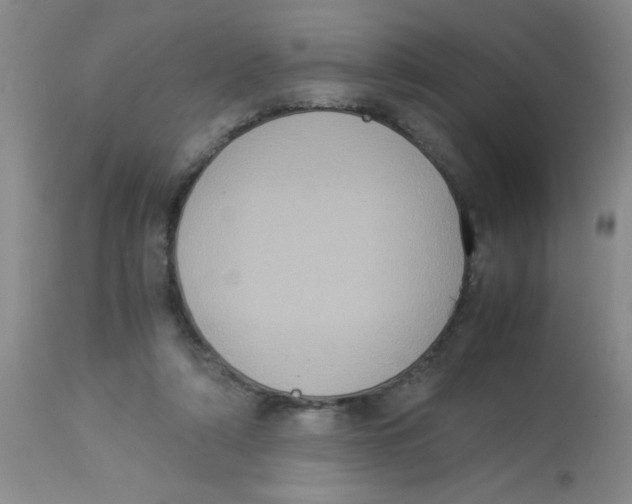 X0000113950306200910232012