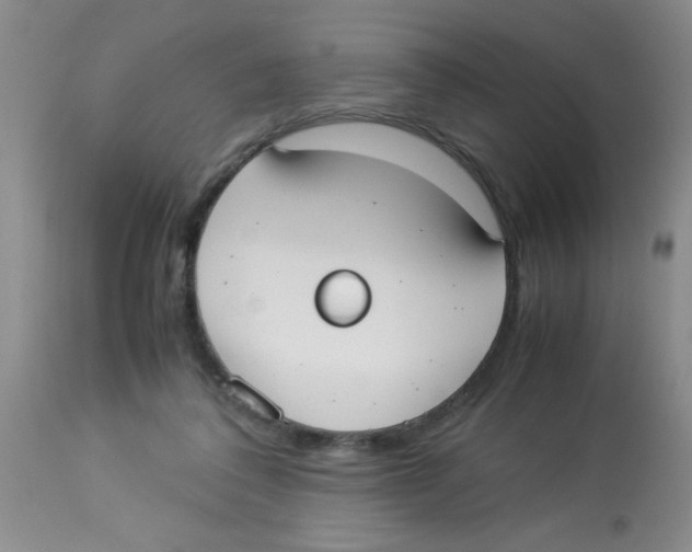 X0000113950308200910232012