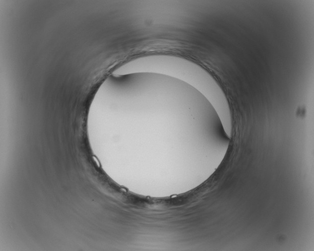 X0000113950309200910232012