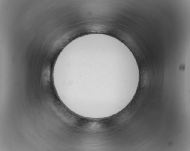 X0000113950310200910232012