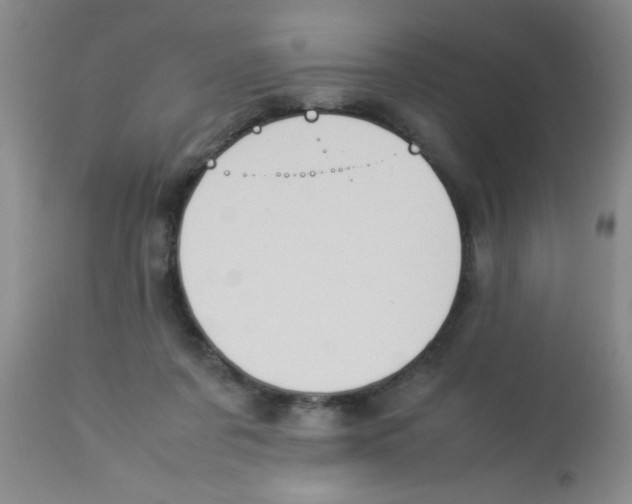 X0000113950311200910232012