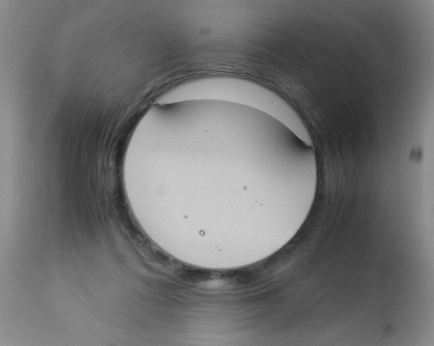 X0000113950312200910232012