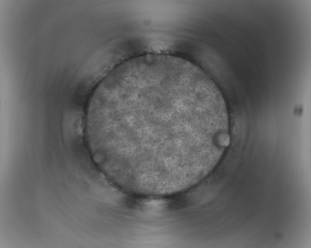 X0000113950313200910232012
