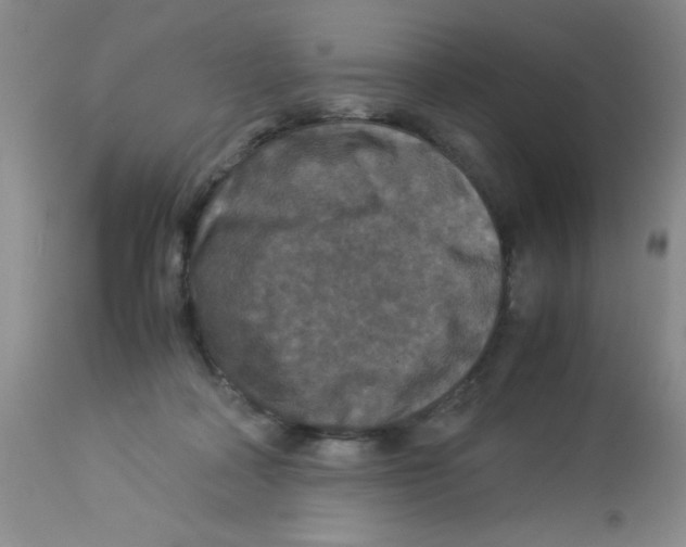 X0000113950314200910232012