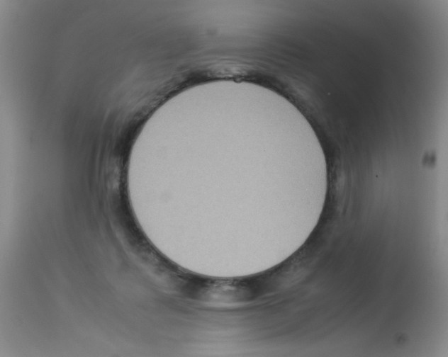 X0000113950315200910232012