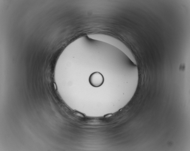 X0000113950316200910232012
