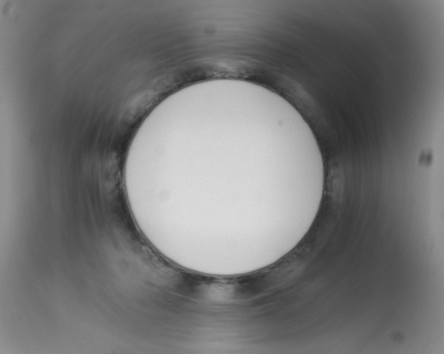 X0000113950318200910232012