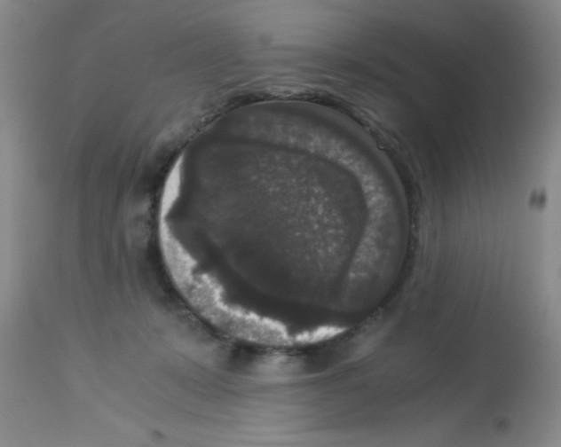 X0000113950319200910232012