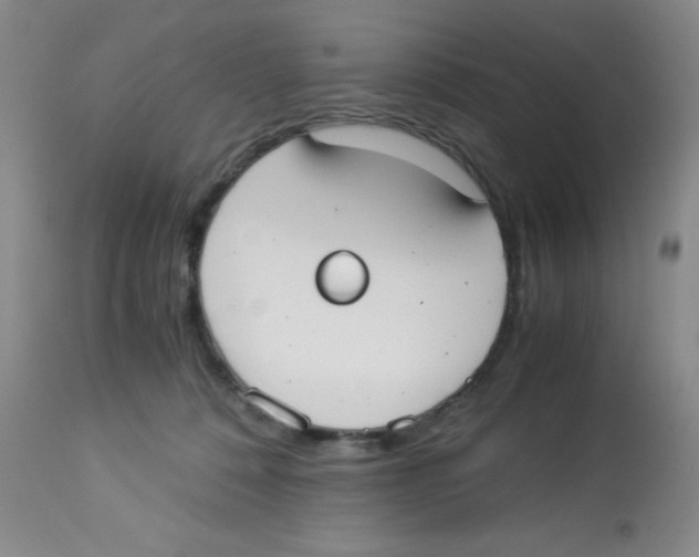 X0000113950320200910232012
