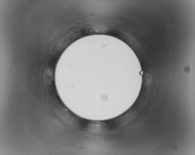 X0000113950321200910232012