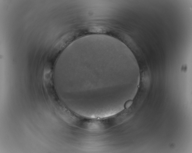 X0000113950322200910232012