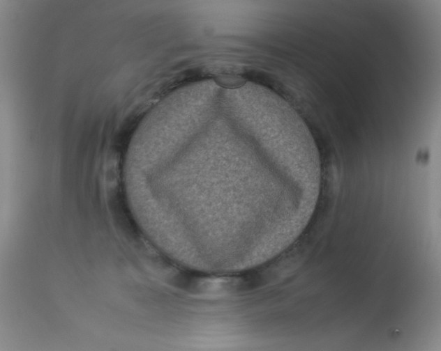 X0000113950323200910232012