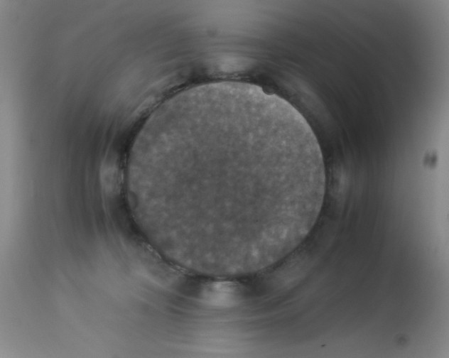 X0000113950324200910232012