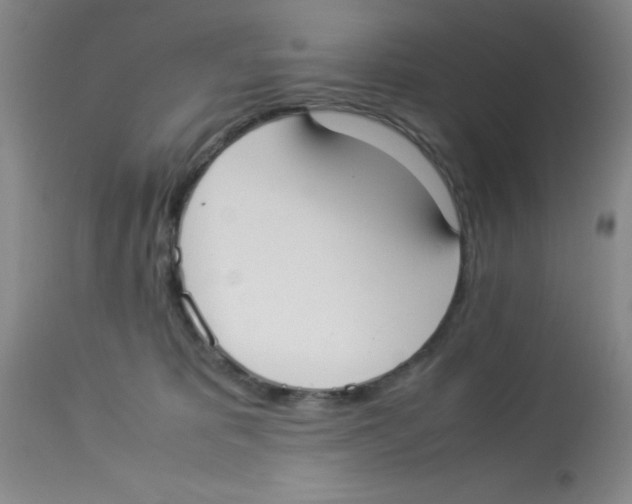X0000113950325200910232012