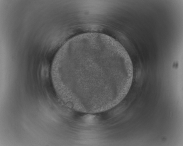 X0000113950326200910232012