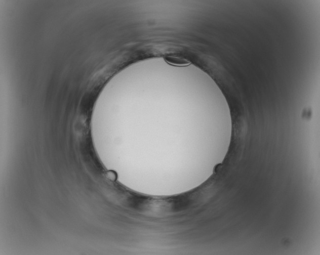 X0000113950327200910232012