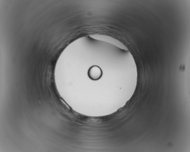 X0000113950328200910232012