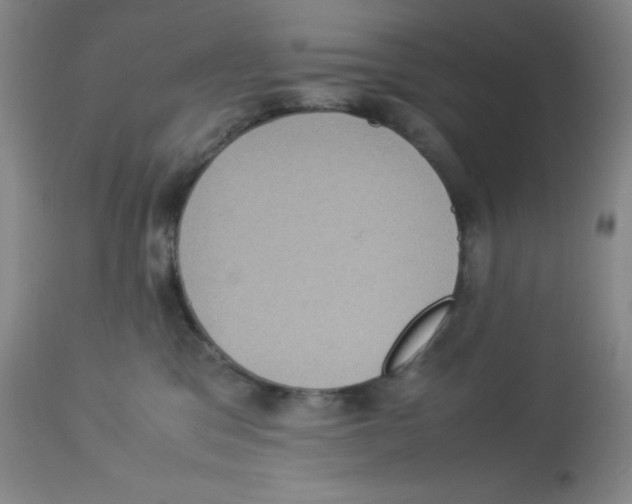 X0000113950329200910232012