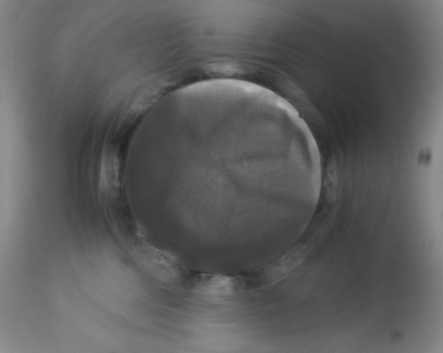 X0000113950330200910232012