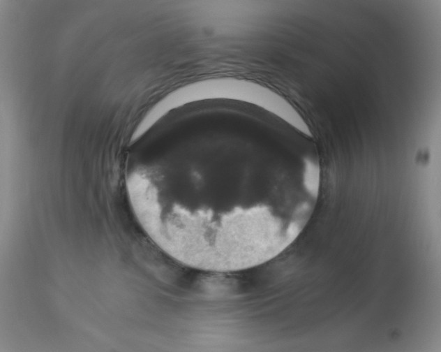 X0000113950331200910232012