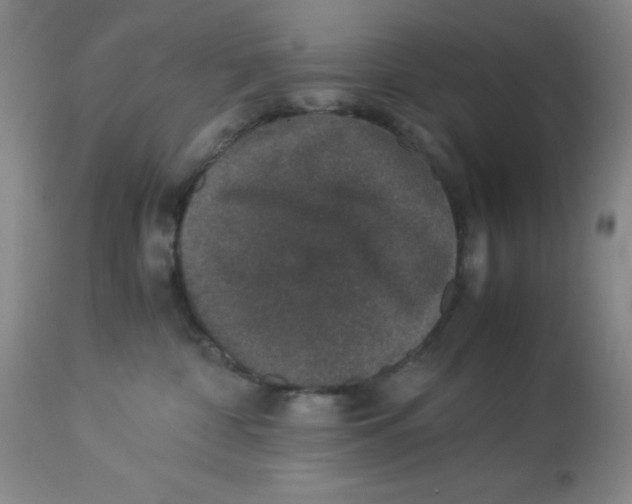 X0000113950332200910232012