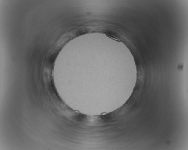 X0000113950333200910232012