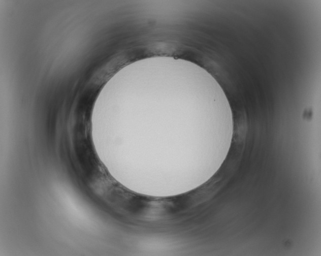 X0000113950334200910232012