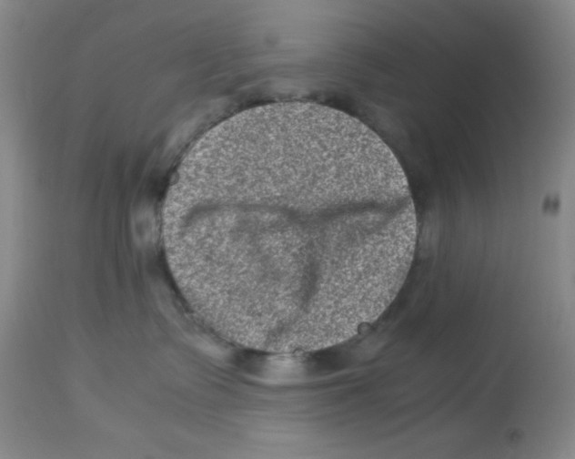 X0000113950335200910232012