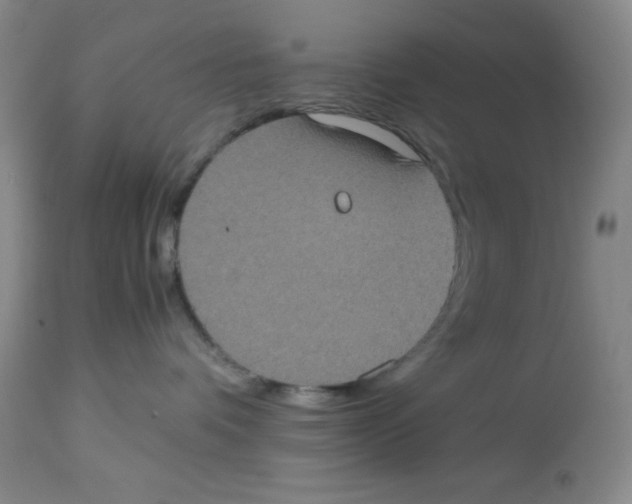 X0000113950336200910232012