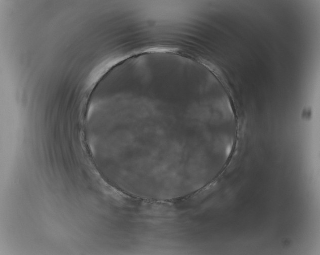 X0000113950337200910232011