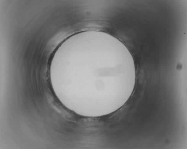 X0000113950338200910232011